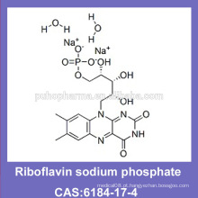 Fosfato de sódio de Riboflavina (CAS: 6184-17-4) com GMP / COS / KOSHER / HALAL